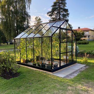 Växthus 8m² - Härdat glas - Svart - Fristående växthus